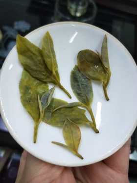 第十三节：为什么球状的绿茶不好突破？