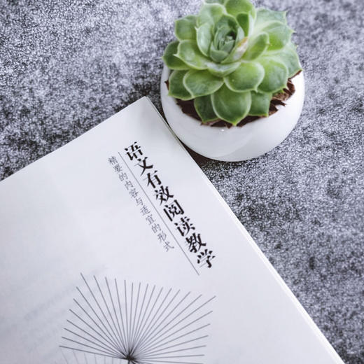 语文有效阅读教学 精要的内容与适宜的形式 张心科 语文教师教育 语文阅读教学设计教材 正版 慕课教材 商品图3