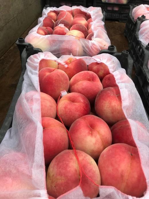 (产地直发）正宗丹东河口燕红桃特级果 一箱10斤，约400g每个*12 商品图4