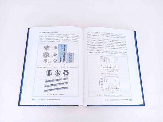 化工过程强化关键技术丛书 结构催化剂与反应器 商品图5