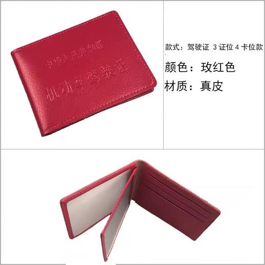 驾驶证301 商品图0
