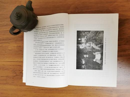 紫禁城的黄昏 商品图3