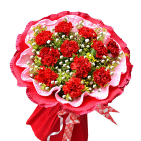 教师节康乃馨鲜花速递 11朵红色康乃馨