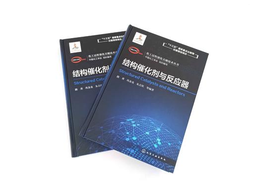 化工过程强化关键技术丛书 结构催化剂与反应器 商品图1