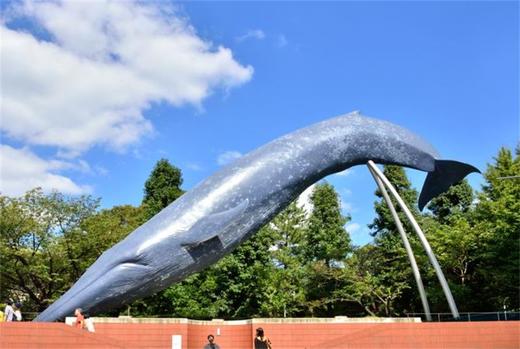 日本有名的科普文化馆 商品图9