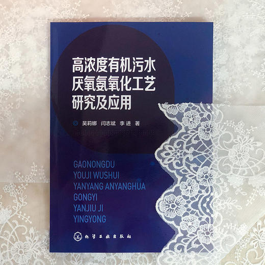 高浓度有机污水厌氧氨氧化工艺研究及应用 污水处理技术书籍 厌氧氨氧化工艺在高浓度有机污水中的应用 厌氧氨氧化工艺运行调控 商品图1