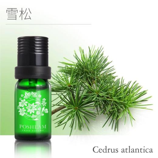 1F宝琪兰雪松精油 商品图0