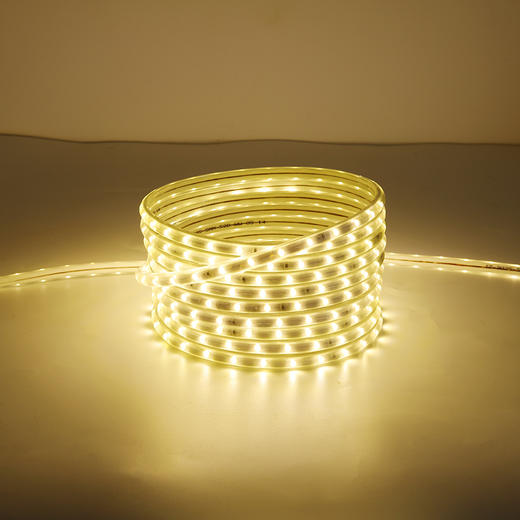 【2元】单色灯带3035-52单斜排【3d拉丝】暖白/正白/黄光/蓝光 -2针