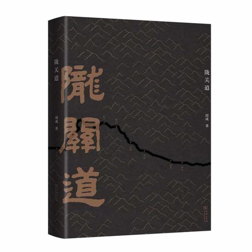 陇关道 商品图0