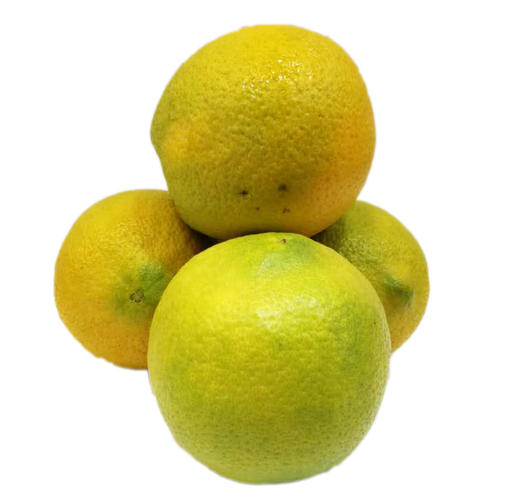 阳光早橙 1000g/份 商品图1