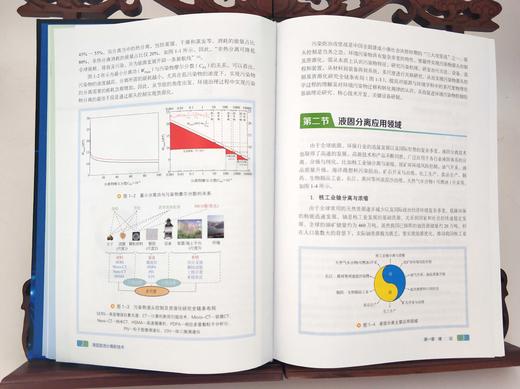 化工过程强化关键技术丛书  液固旋流分离新技术 商品图4