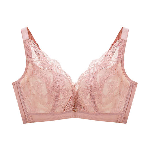 皇家丽美性感蕾丝文胸竹炭纤维无钢圈聚拢内衣中厚款文胸WW027-2 商品图7