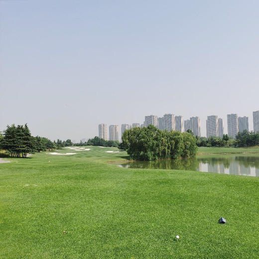 郑州金沙湖高尔夫俱乐部zhengzhou jinshahu golf club| 郑州高尔夫