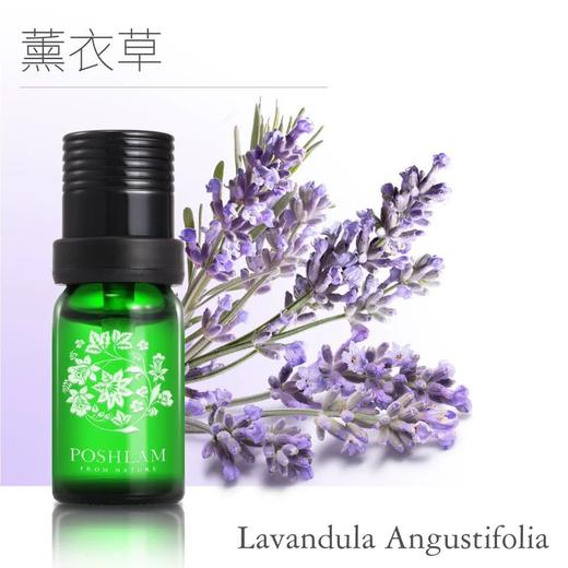 1F宝琪兰熏衣草精油 商品图0
