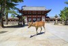第一次去京都奈良推荐的景点 商品缩略图5