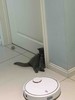 极速退款回归 商品缩略图0