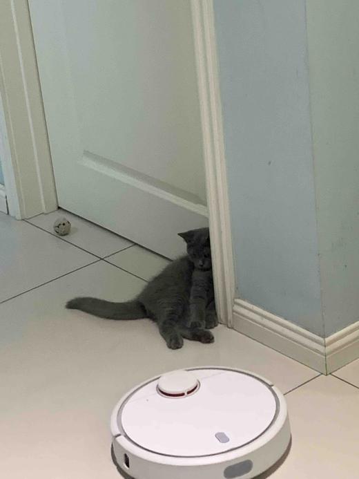 极速退款回归 商品图0