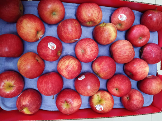 67全国包邮新西兰天后苹果diva糖心苹果果型饱满果色红艳动人拥有