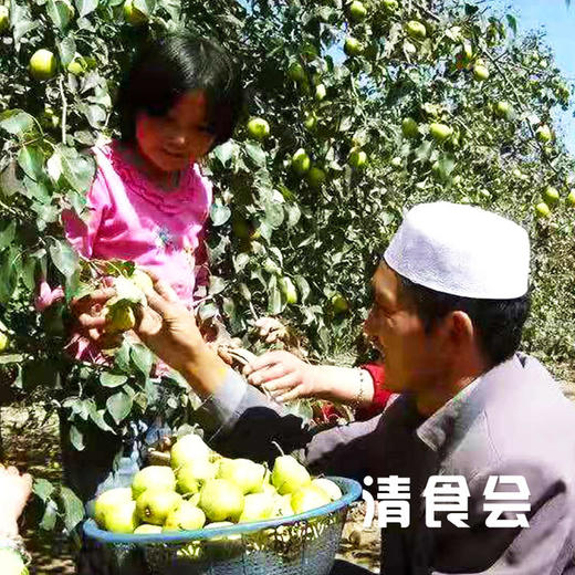 甘肃临夏啤特果 商品图5