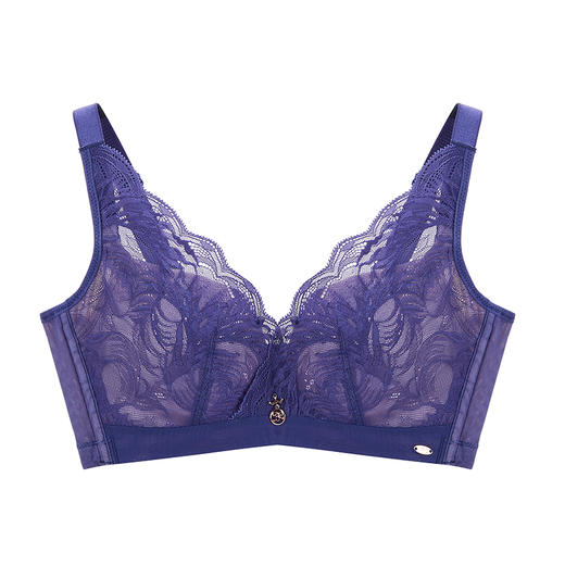 皇家丽美性感蕾丝文胸竹炭纤维无钢圈聚拢内衣中厚款文胸WW027-2 商品图8