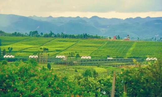 【定制】滇东南喀斯特山水田园草原5晚6天假期 商品图7