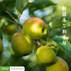 商品缩略图