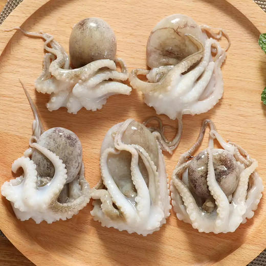 【超级特惠】新鲜野生八爪鱼 会员16.8元/斤