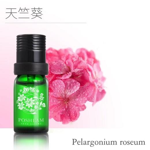 1F宝琪兰天竺葵精油 商品图0