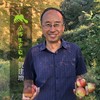 生态山西西芹| 合作生产 * Eco-celery | Partner Production 商品缩略图5