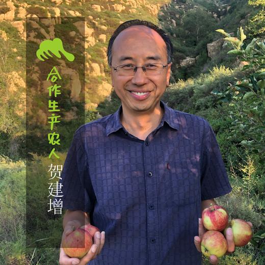 生态山西西芹| 合作生产 * Eco-celery | Partner Production 商品图5