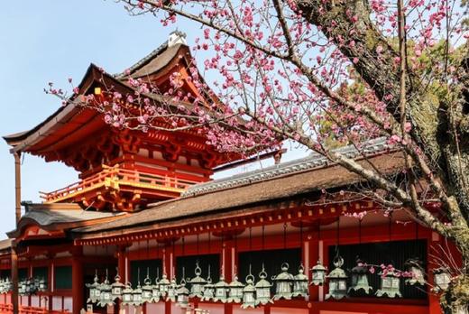 第一次去京都奈良推荐的景点 商品图7