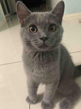 慕阳的第二件半价