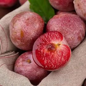 【双11活动】新疆味帝恐龙蛋 轻咬一口 汁水四溢新疆发货