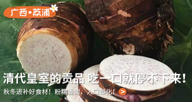  秋冬进补好食材！400年种植历史，粉糯香甜，入口即化！