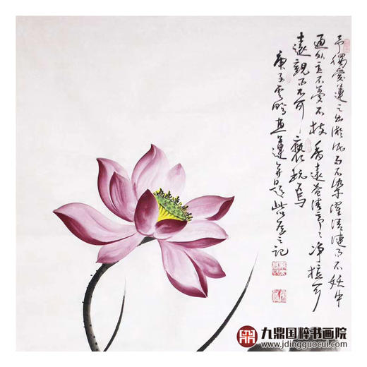 高云鹏《爱莲说》68*138cm 花鸟竖幅作品 玄关/卧室/书房挂画 商品图3