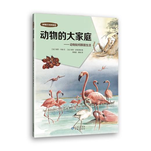 【自然科普】动物行为体验馆 （共11册）讲述600余种动物的行为 商品图1