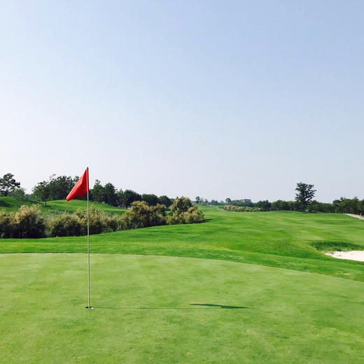 天津阿羅馬高爾夫俱樂部tianjinaruomagolfclub天津高爾夫球場俱樂部