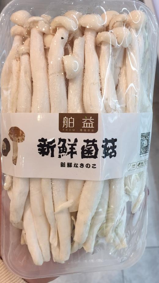 海鲜菇/盒（长春） 商品图0