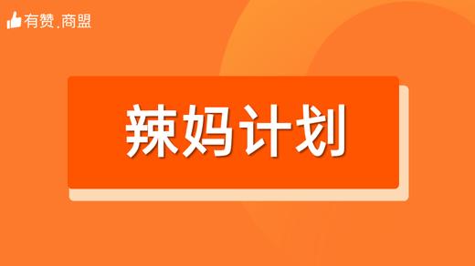 【辣妈计划】招商 商品图0