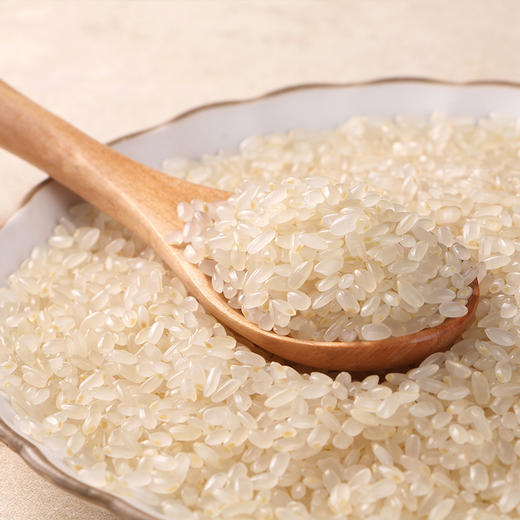 十月稻田 胚芽米2.5kg 东北大米