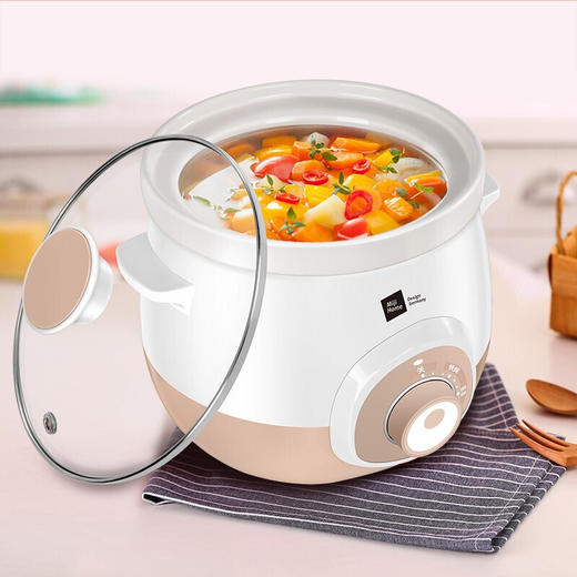 米技陶瓷内胆多功能电炖锅ECE2103 商品图3