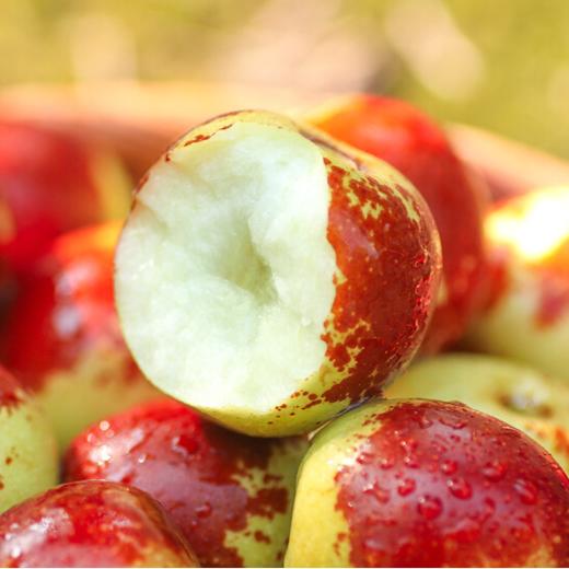 陕西大荔冬枣500g±50g 商品图2