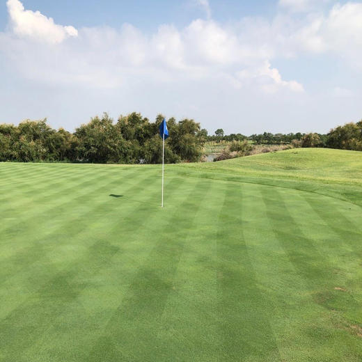 天津阿罗马高尔夫俱乐部tianjinaruomagolfclub天津高尔夫球场俱乐部