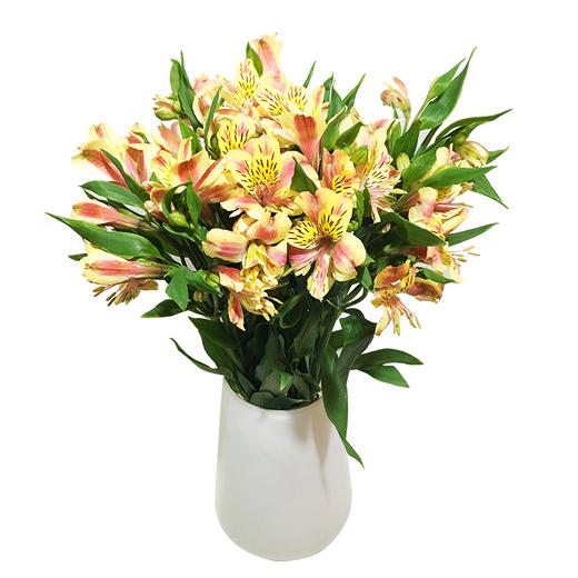 9.5日周末鲜花 商品图1