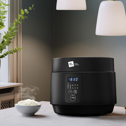 米技 微电脑多功能电饭煲 EC301 商品图2