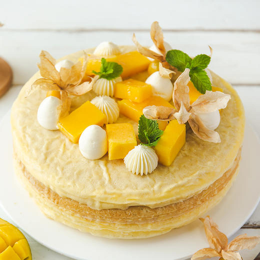 热情芒果千层 8# 商品图1