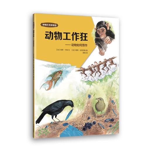 【自然科普】动物行为体验馆 （共11册）讲述600余种动物的行为 商品图4