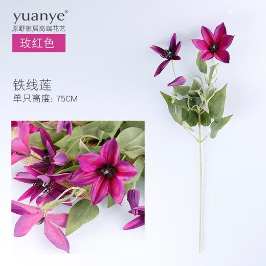 原野经典风大型爱丽丝套装铁线莲花高端仿真花假花装饰花摆件绢花 商品图3