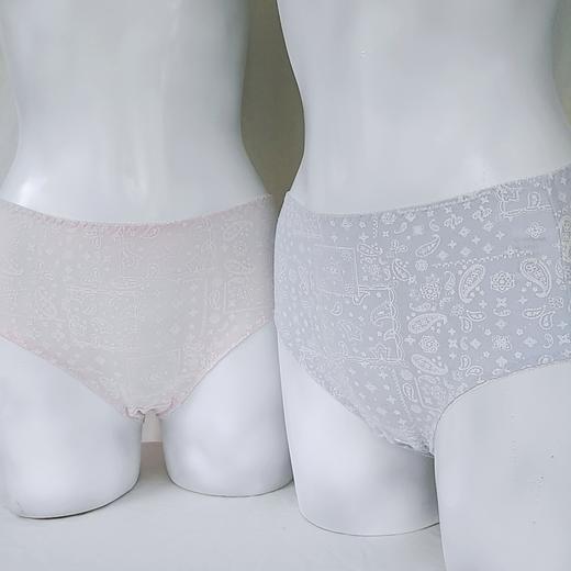 （特价）IY-820(五枚组)平腰包臀三角裤（混色） 商品图2