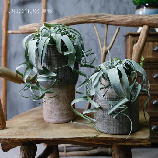 田园风空气凤梨草仿真花假花自然复古高档客厅玄关新中式书房茶几 商品图2